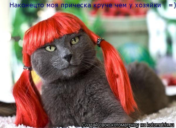 Наконецто моя прическа круче чем у хозяйки =)... Котоматрица: Наконецто моя прическа круче чем у хозяйки =)