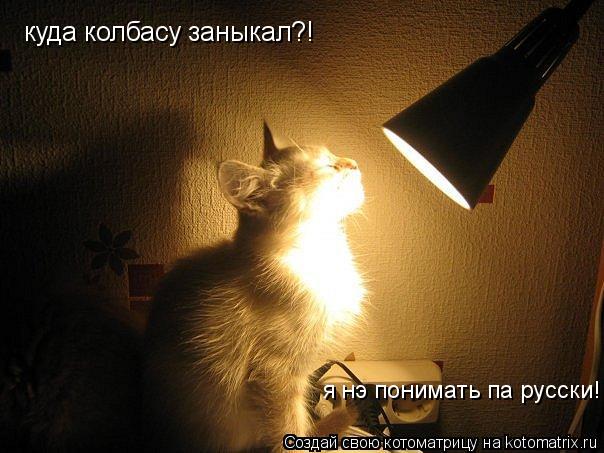куда колбасу заныкал?! я нэ понимать па русски!... Котоматрица: куда колбасу заныкал?! я нэ понимать па русски!
