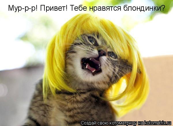Мур-р-р! Привет! Тебе нравятся блондинки?... Котоматрица: Мур-р-р! Привет! Тебе нравятся блондинки?