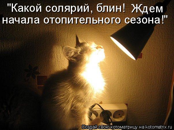 "Какой солярий, блин! Ждем начала отопительного сезона!"... Котоматрица: "Какой солярий, блин! Ждем начала отопительного сезона!"