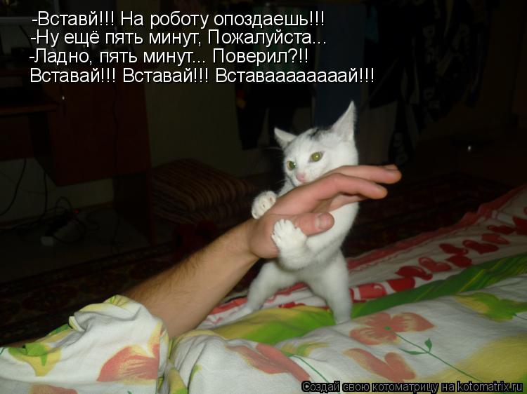-Вставй!!! На роботу опоздаешь!!! -Вставй!!! На роботу опоздаешь!!! -Ну ещё пять минут, Пожалуйста...... Котоматрица: -Вставй!!! На роботу опоздаешь!!! -Вставй!!! На роботу опоздаешь!!! -Ну ещё пять минут, Пожалуйста... -Ладно, пять минут... Поверил?!! Вставай!!! Вс