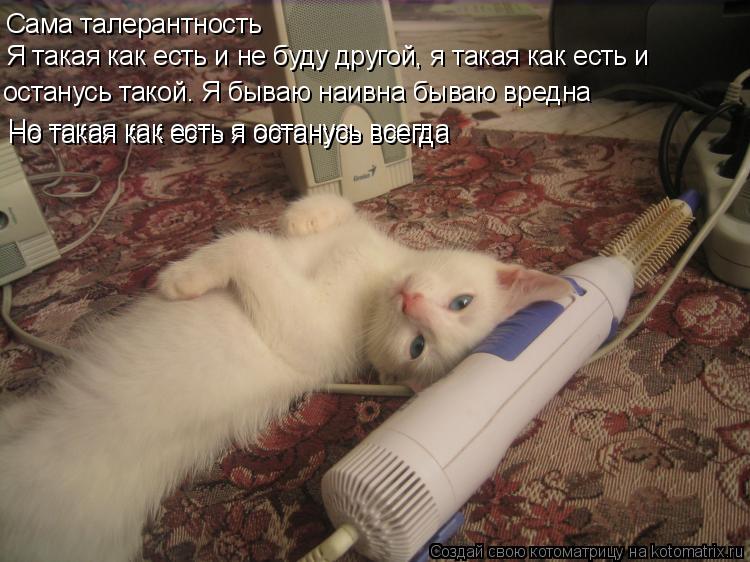 Сама талерантность Я такая как есть и не буду другой, я такая как есть и останусь такой. Я бываю наи... Котоматрица: Сама талерантность Я такая как есть и не буду другой, я такая как есть и останусь такой. Я бываю наивна бываю вредна Но такая как есть я оста