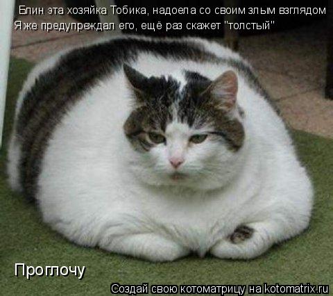 Блин эта хозяйка Тобика, надоела со своим злым взглядом Я же предупреждал его, ещё раз скажет "толсты... Котоматрица: Блин эта хозяйка Тобика, надоела со своим злым взглядом Я же предупреждал его, ещё раз скажет "толстый" Проглочу