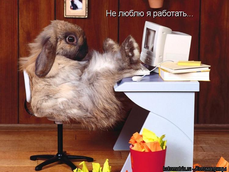 Не люблю я работать...... Котоматрица: Не люблю я работать...