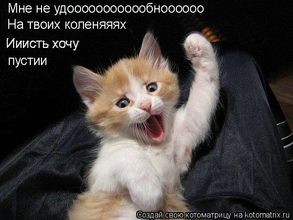 Мне не удоооооооооообноооооо На твоих коленяяях Ииисть хочу Ииисть хочу пустии... Котоматрица: Мне не удоооооооооообноооооо На твоих коленяяях Ииисть хочу Ииисть хочу пустии