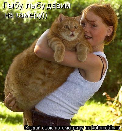 Лыбу, лыбу давим на камеру))... Котоматрица: Лыбу, лыбу давим на камеру))