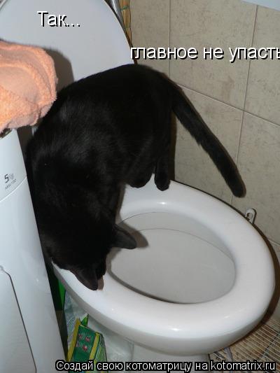Так... главное не упасть... Котоматрица: Так... главное не упасть