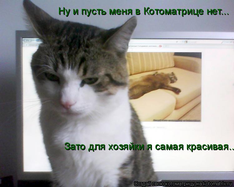 Ну и пусть меня в Котоматрице нет... Зато для хозяйки я самая красивая...... Котоматрица: Ну и пусть меня в Котоматрице нет... Зато для хозяйки я самая красивая...