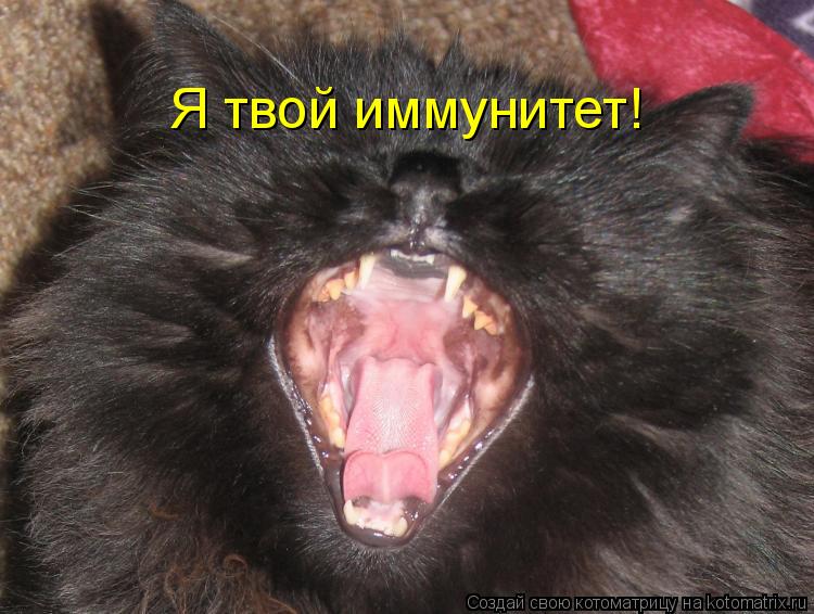 Я твой иммунитет!... Котоматрица: Я твой иммунитет!