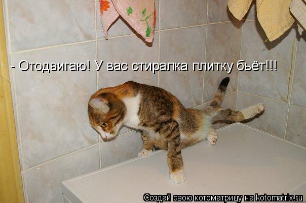 - Отодвигаю! У вас стиралка плитку бьёт!!!... Котоматрица: - Отодвигаю! У вас стиралка плитку бьёт!!!