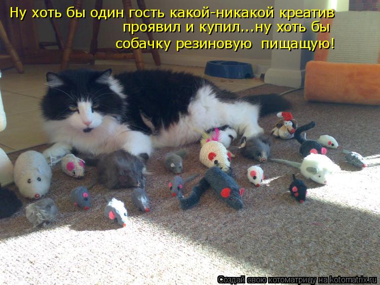 Ну хоть бы один гость какой-никакой креатив проявил и купил...ну хоть бы собачку резиновую пищащую!... Котоматрица: Ну хоть бы один гость какой-никакой креатив проявил и купил...ну хоть бы собачку резиновую пищащую!