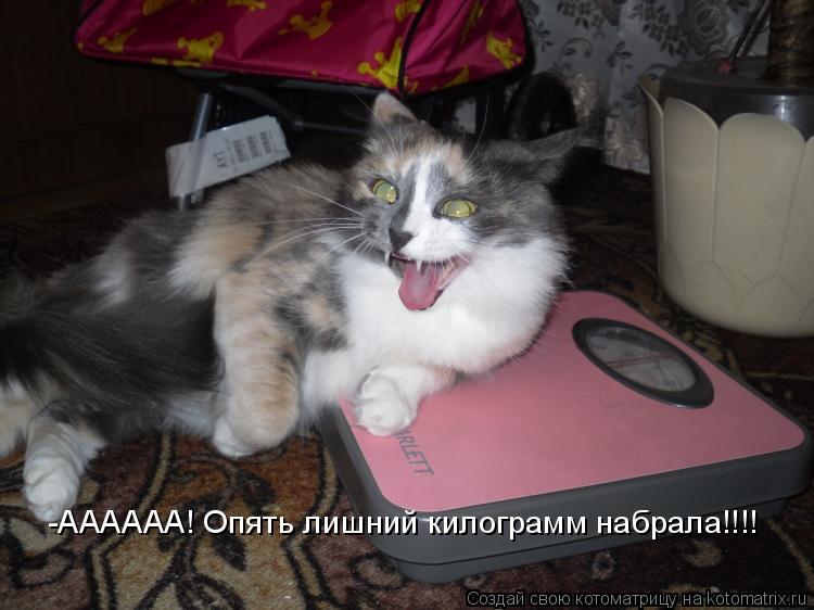 -АААААА! Опять лишний килограмм набрала!!!!... Котоматрица: -АААААА! Опять лишний килограмм набрала!!!!