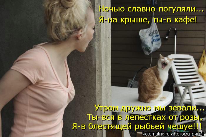 Ночью славно погуляли... Я-на крыше, ты-в кафе! Утром дружно мы зевали... Ты-вся в лепестках от розы,... Котоматрица: Ночью славно погуляли... Я-на крыше, ты-в кафе! Утром дружно мы зевали... Ты-вся в лепестках от розы, Я-в блестящей рыбьей чешуе!!!