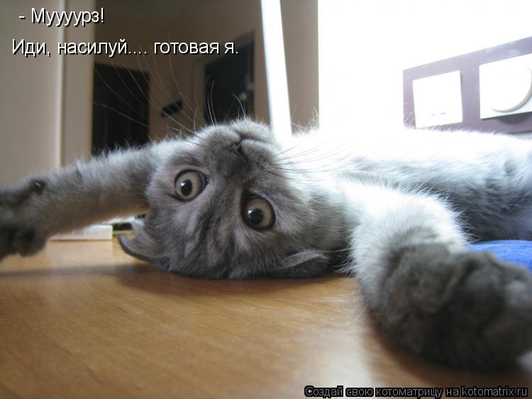- Муууурз! Иди, насилуй.... готовая я.... Котоматрица: - Муууурз! Иди, насилуй.... готовая я.