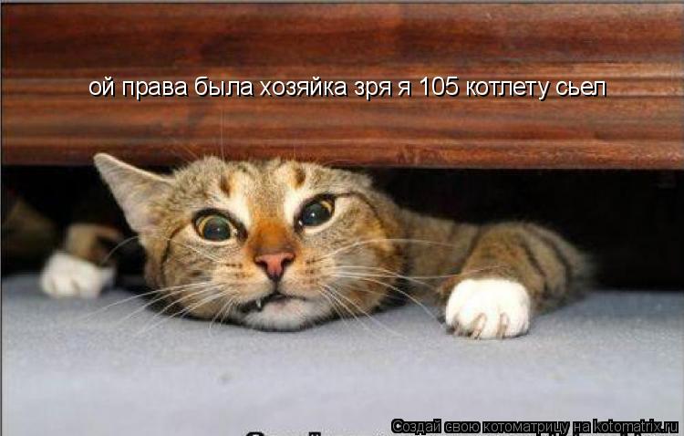 ой права была хозяйка зря я 105 котлету сьел... Котоматрица: ой права была хозяйка зря я 105 котлету сьел