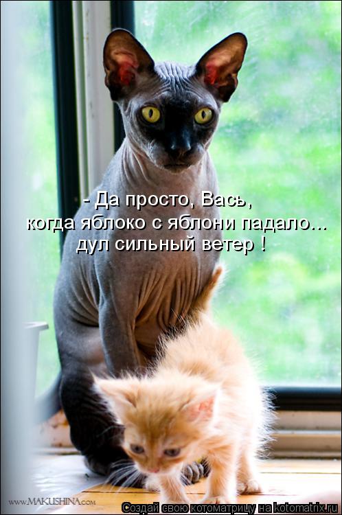 - Да просто, Вась, когда яблоко с яблони падало... дул сильный ветер !... Котоматрица: - Да просто, Вась, когда яблоко с яблони падало... дул сильный ветер !