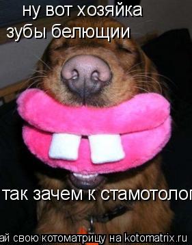 ну вот хозяйка зубы белющии так зачем к стамотологу... Котоматрица: ну вот хозяйка зубы белющии так зачем к стамотологу