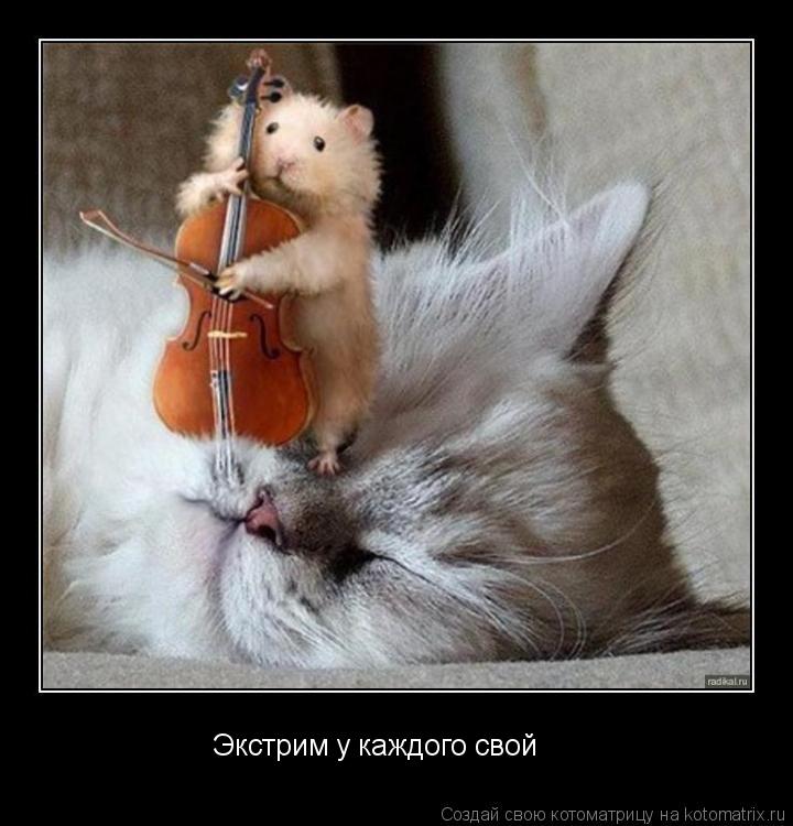 Экстрим у каждого свой... Котоматрица: Экстрим у каждого свой