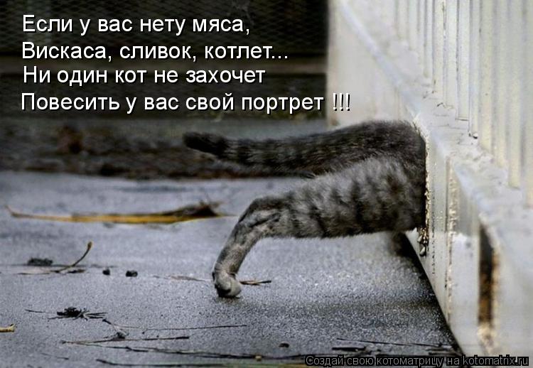 Если у вас нету мяса, Вискаса, сливок, котлет... Ни один кот не захочет Повесить у вас свой портрет !... Котоматрица: Если у вас нету мяса, Вискаса, сливок, котлет... Ни один кот не захочет Повесить у вас свой портрет !!!