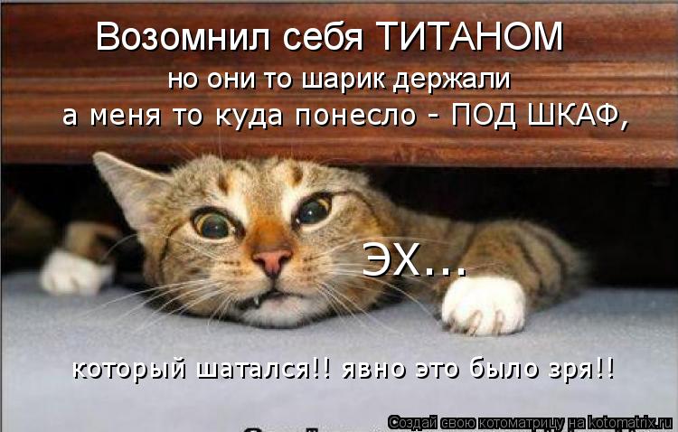 Возомнил себя ТИТАНОМ но они то шарик держали а меня то куда понесло - ПОД ШКАФ, который шатался!! яв... Котоматрица: Возомнил себя ТИТАНОМ но они то шарик держали а меня то куда понесло - ПОД ШКАФ, который шатался!! явно это было зря!! ЭХ...