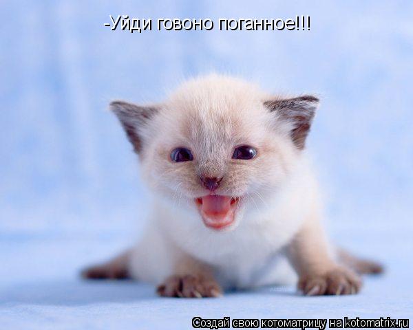 -Уйди говоно поганное!!!... Котоматрица: -Уйди говоно поганное!!!