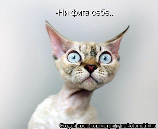 -Ни фига себе...... Котоматрица: -Ни фига себе...