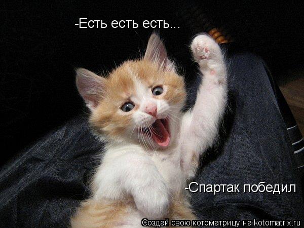 -Есть есть есть... -Спартак победил... Котоматрица: -Есть есть есть... -Спартак победил
