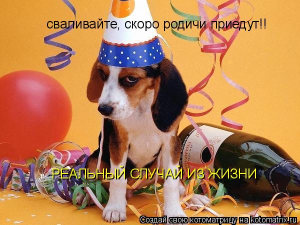 сваливайте, скоро родичи приедут!! РЕАЛЬНЫЙ СЛУЧАЙ ИЗ ЖИЗНИ... Котоматрица: сваливайте, скоро родичи приедут!! РЕАЛЬНЫЙ СЛУЧАЙ ИЗ ЖИЗНИ