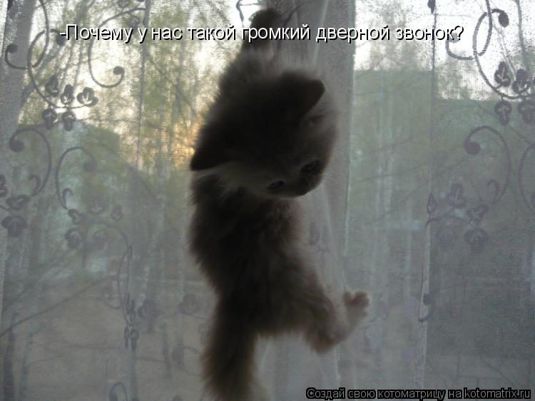 -Почему у нас такой громкий дверной звонок?... Котоматрица: -Почему у нас такой громкий дверной звонок?