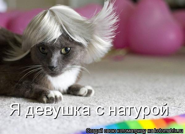 Котоматрица: Я девушка с натурой