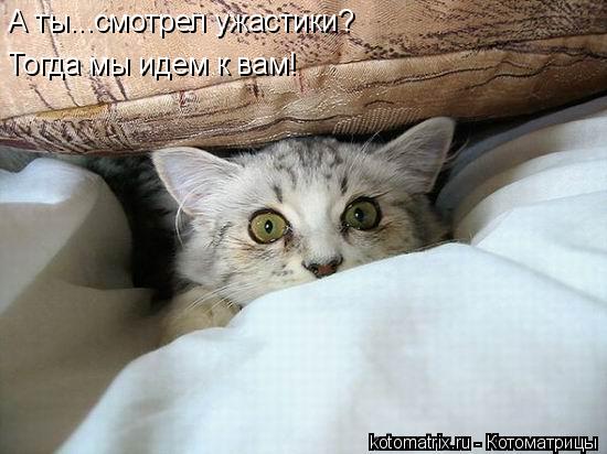 А ты...смотрел ужастики? Тогда мы идем к вам!... Котоматрица: А ты...смотрел ужастики? Тогда мы идем к вам!