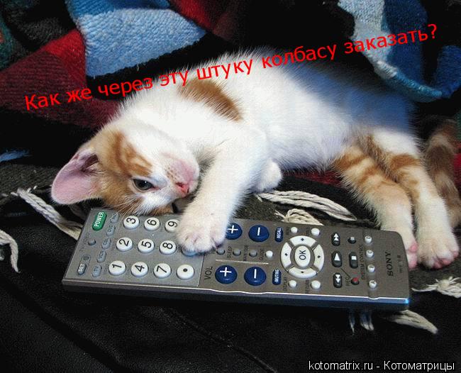 Как же через эту штуку колбасу заказать?... Котоматрица: Как же через эту штуку колбасу заказать?