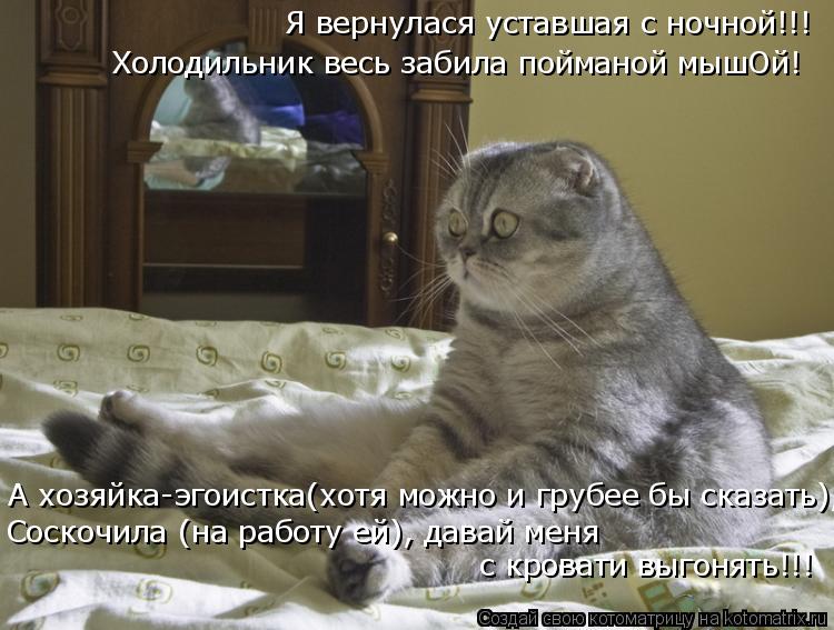 Я вернулася уставшая с ночной!!! Холодильник весь забила пойманой мышОй! А хозяйка-эгоистка(хотя можн... Котоматрица: Я вернулася уставшая с ночной!!! Холодильник весь забила пойманой мышОй! А хозяйка-эгоистка(хотя можно и грубее бы сказать), Соскочила (на ра