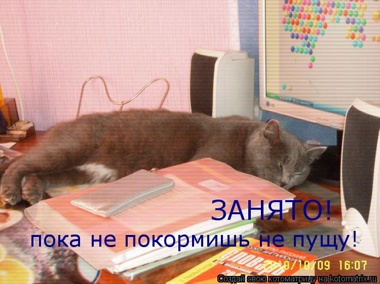 ЗАНЯТО! пока не покормишь не пущу!... Котоматрица: ЗАНЯТО! пока не покормишь не пущу!