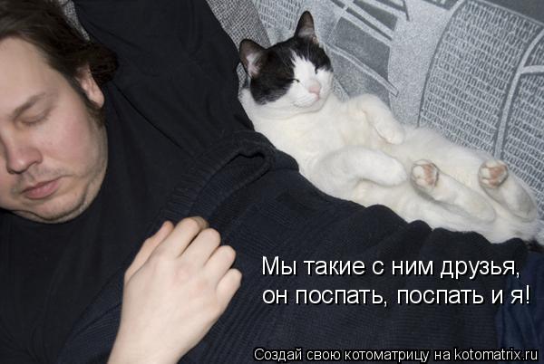 Мы такие с ним друзья, он поспать, поспать и я!... Котоматрица: Мы такие с ним друзья, он поспать, поспать и я!
