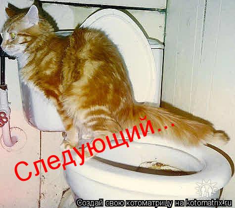 Следующий...... Котоматрица: Следующий...