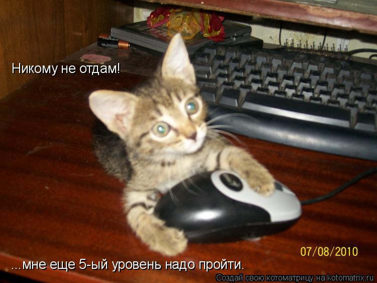 Никому не отдам! ...мне еще 5-ый уровень надо пройти.... Котоматрица: Никому не отдам! ...мне еще 5-ый уровень надо пройти.
