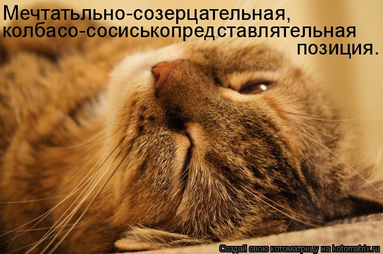 Мечтатьльно-созерцательная, колбасо-сосиськопредставлятельная позиция.... Котоматрица: Мечтатьльно-созерцательная, колбасо-сосиськопредставлятельная позиция.