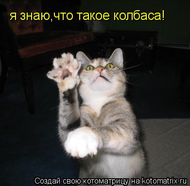 я знаю,что такое колбаса!... Котоматрица: я знаю,что такое колбаса!