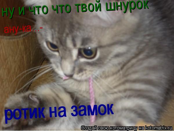 ну и что что твой шнурок ану-ка...- ротик на замок ротик на замок... Котоматрица: ну и что что твой шнурок ану-ка...- ротик на замок ротик на замок