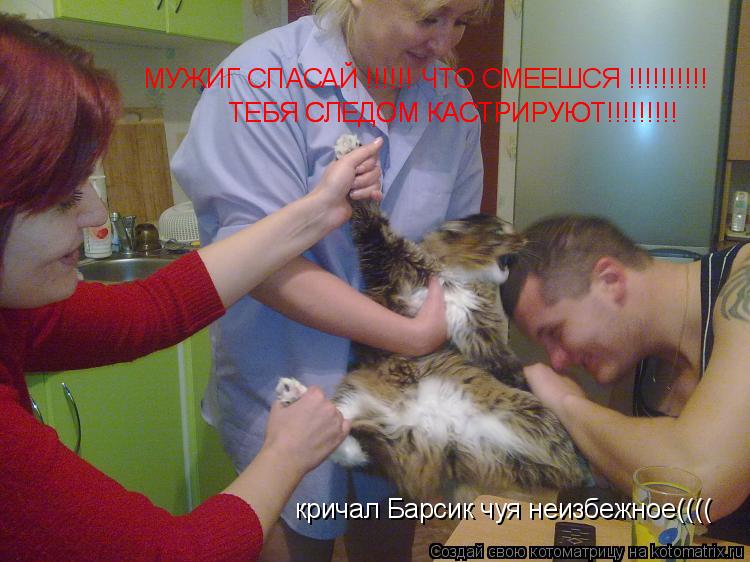 МУЖИГ СПАСАЙ !!!!!! ЧТО СМЕЕШСЯ !!!!!!!!!! ТЕБЯ СЛЕДОМ КАСТРИРУЮТ!!!!!!!!! ТЕБЯ СЛЕДОМ КАСТРИРУЮТ!!!!... Котоматрица: МУЖИГ СПАСАЙ !!!!!! ЧТО СМЕЕШСЯ !!!!!!!!!! ТЕБЯ СЛЕДОМ КАСТРИРУЮТ!!!!!!!!! ТЕБЯ СЛЕДОМ КАСТРИРУЮТ!!!!!!!!! кричал Барсик чуя неизбежное((((