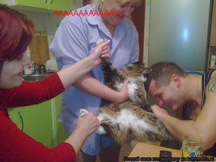 АААААААААААА!!!... Котоматрица: АААААААААААА!!!