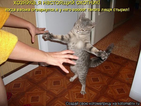 хозяйка,я настоящий охотник! когда васька отвернулся,я у него воооот такого лещя стырил!... Котоматрица: хозяйка,я настоящий охотник! когда васька отвернулся,я у него воооот такого лещя стырил!