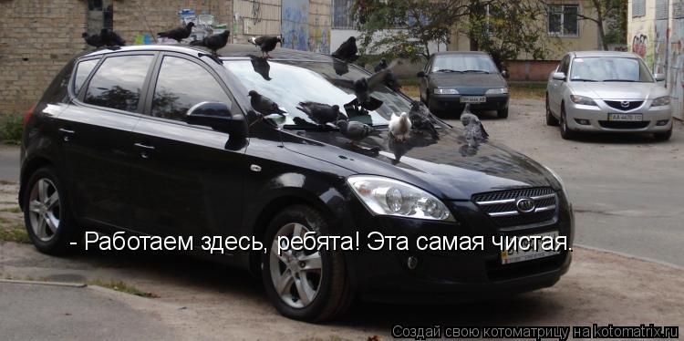 - Работаем здесь, ребята! Эта самая чистая.... Котоматрица: - Работаем здесь, ребята! Эта самая чистая.