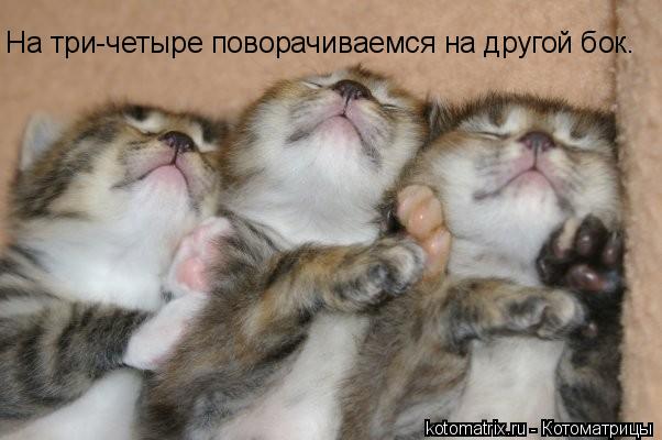На три-четыре поворачиваемся на другой бок.... Котоматрица: На три-четыре поворачиваемся на другой бок.