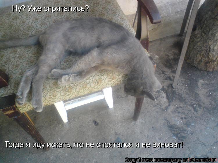 Ну? Уже спрятались? Тогда я иду искать,кто не спрятался я не виноват!... Котоматрица: Ну? Уже спрятались? Тогда я иду искать,кто не спрятался я не виноват!