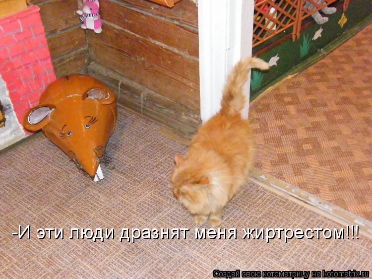 -И эти люди дразнят меня жиртрестом!!!... Котоматрица: -И эти люди дразнят меня жиртрестом!!!