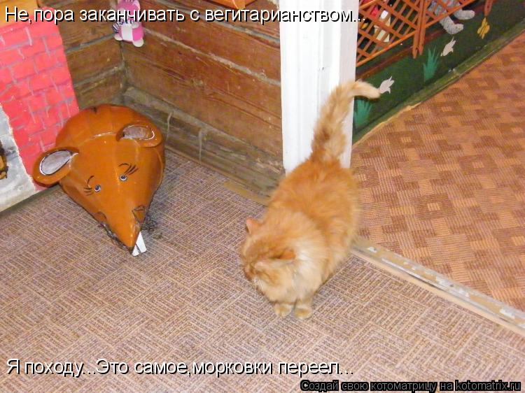 Не,пора заканчивать с вегитарианством... Я походу...Это самое,морковки переел...... Котоматрица: Не,пора заканчивать с вегитарианством... Я походу...Это самое,морковки переел...