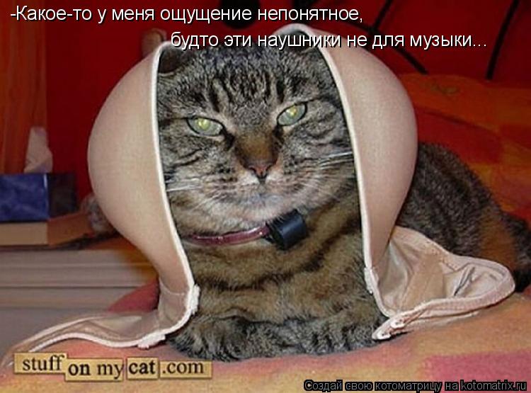 -Какое-то у меня ощущение непонятное, будто эти наушники не для музыки...... Котоматрица: -Какое-то у меня ощущение непонятное, будто эти наушники не для музыки...