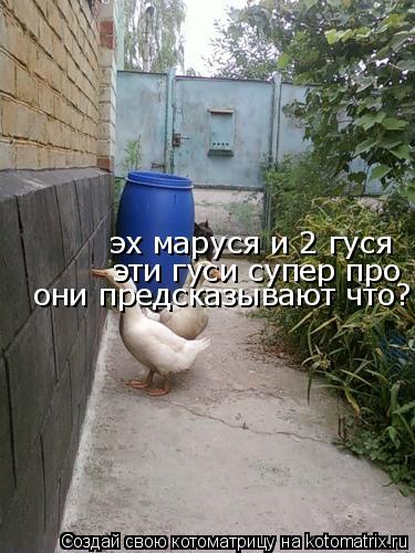эх маруся и 2 гуся эти гуси супер про они предсказывают что?... Котоматрица: эх маруся и 2 гуся эти гуси супер про они предсказывают что?